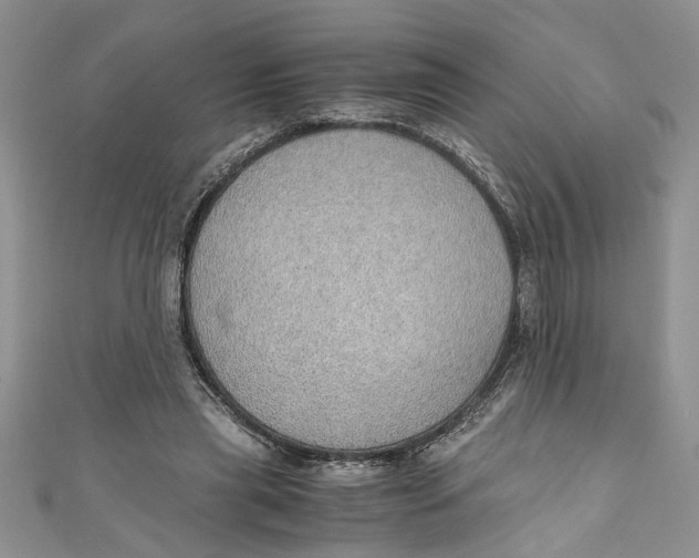 X0000111030445200907161328