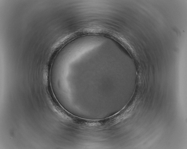 X0000111030446200907161328