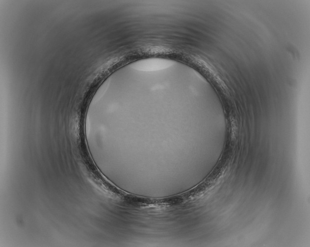 X0000111030447200907161328