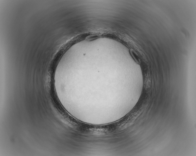 X0000111030448200907161328