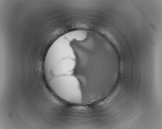 X0000111030449200907161328