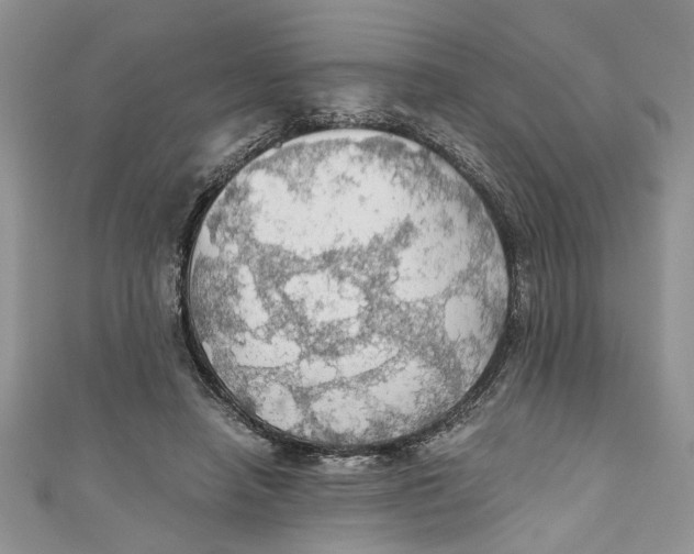 X0000111030450200907161328