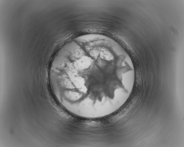 X0000111030453200907161328