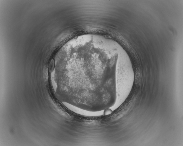 X0000111030454200907161328