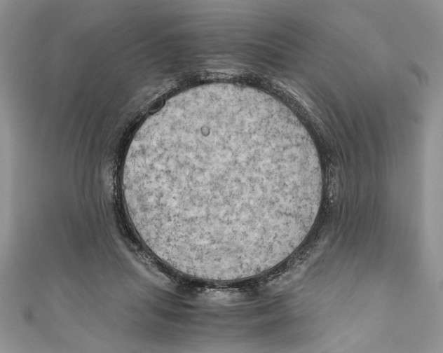 X0000111030455200907161328