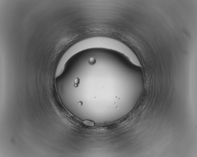 X0000111030456200907161328