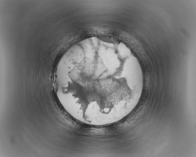 X0000111030457200907161328