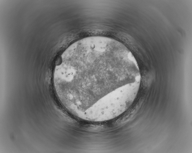 X0000111030458200907161328