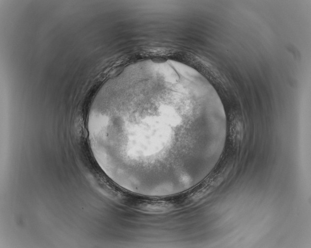 X0000111030459200907161328