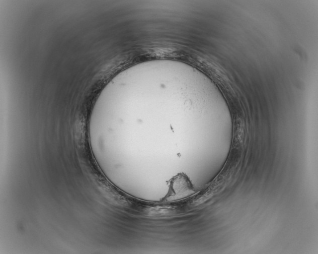 X0000111030461200907161328