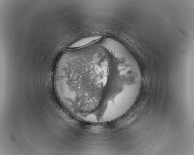 X0000111030462200907161328