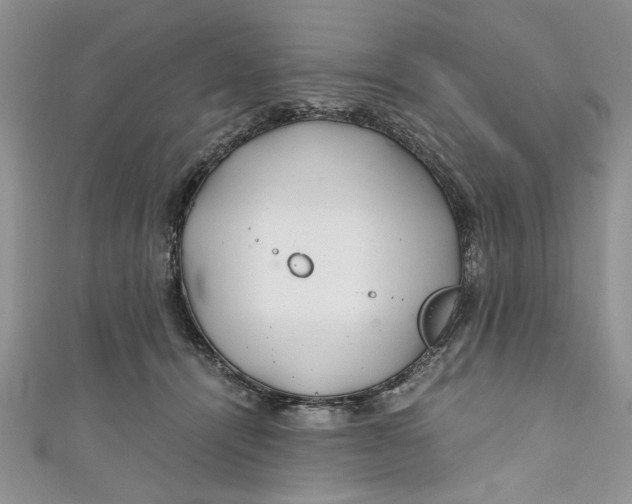 X0000111030464200907161328