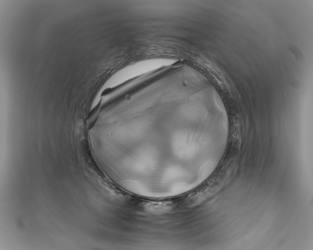 X0000111030465200907161328