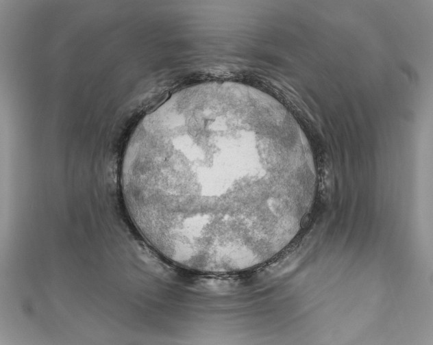 X0000111030466200907161328