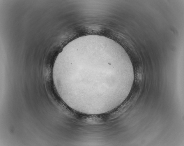 X0000111030468200907161328