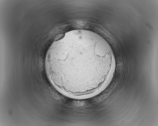 X0000111030469200907161328