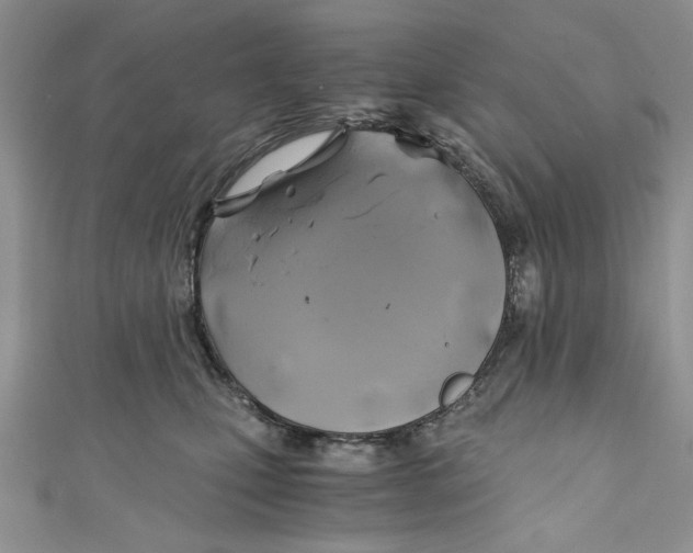 X0000111030471200907161328