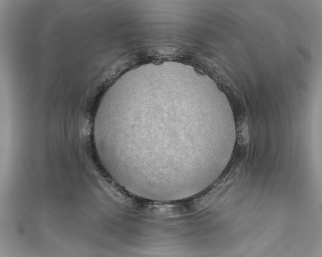 X0000111030472200907161328