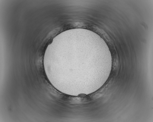 X0000111030473200907161328