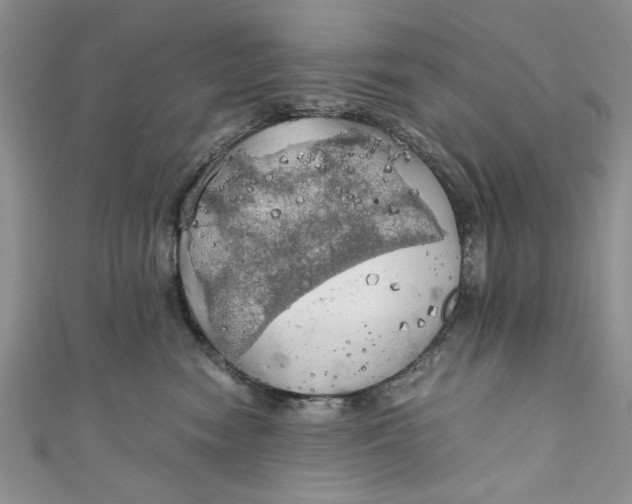 X0000111030474200907161328