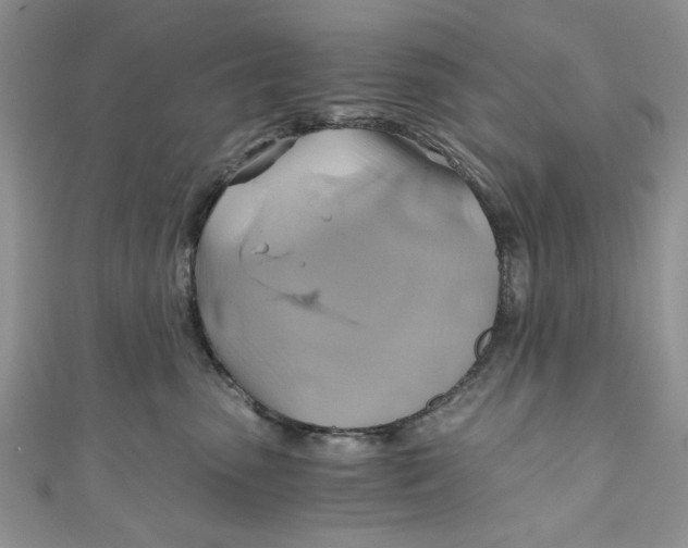 X0000111030475200907161328