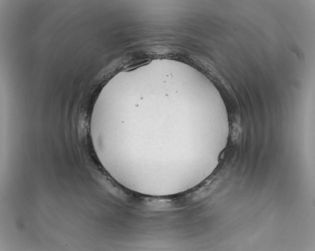 X0000111030476200907161328