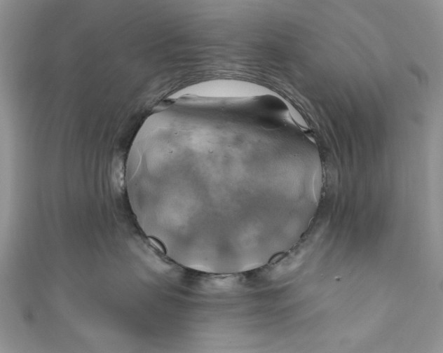 X0000111030479200907161328