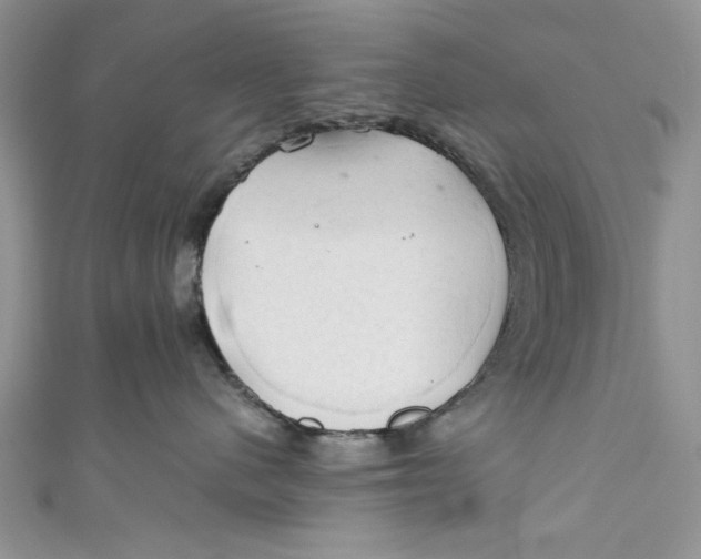 X0000111030480200907161328