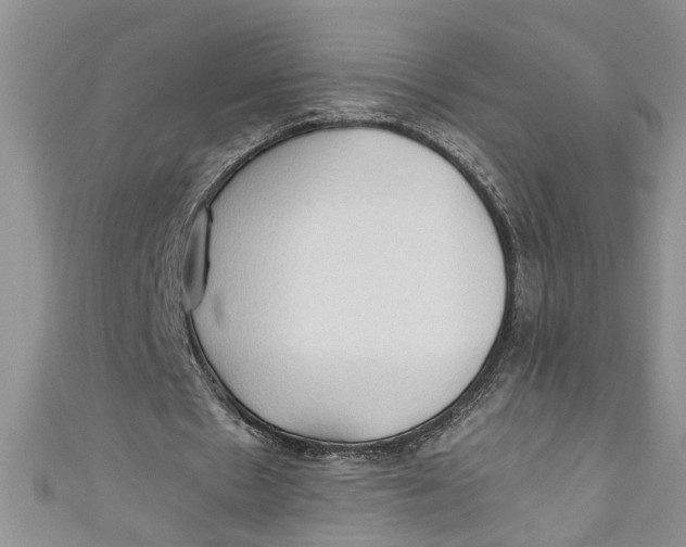 X0000111030481200907161328