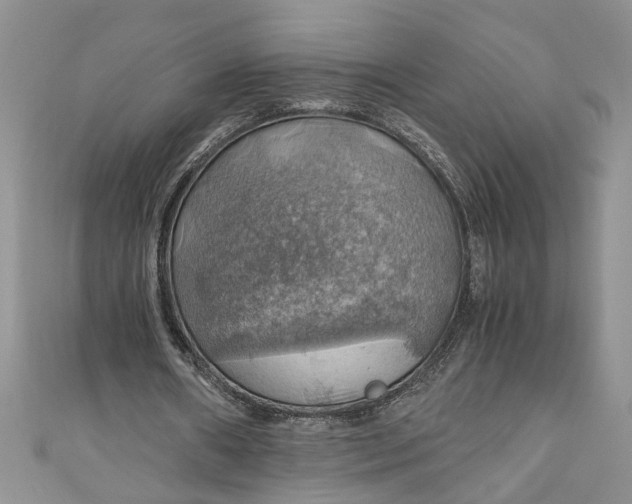 X0000111030482200907161328