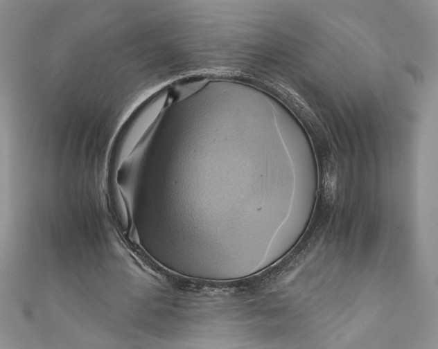 X0000111030484200907161328