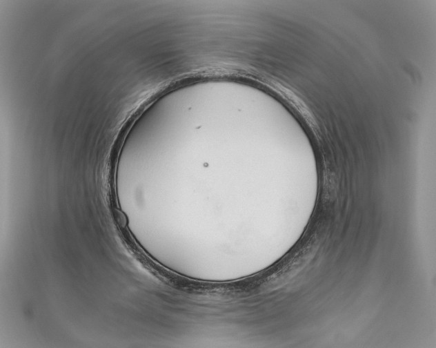 X0000111030485200907161328