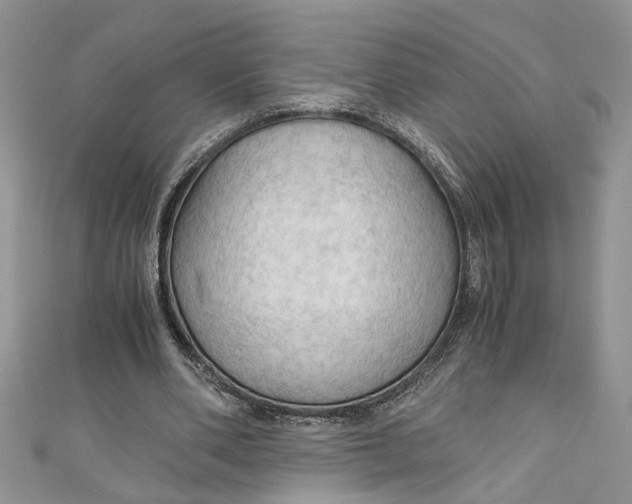 X0000111030486200907161328