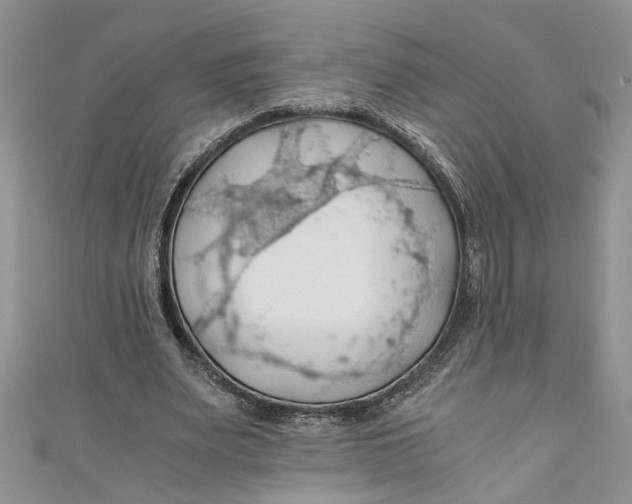 X0000111030487200907161328