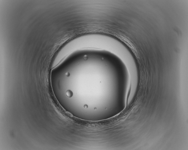 X0000111030489200907161327