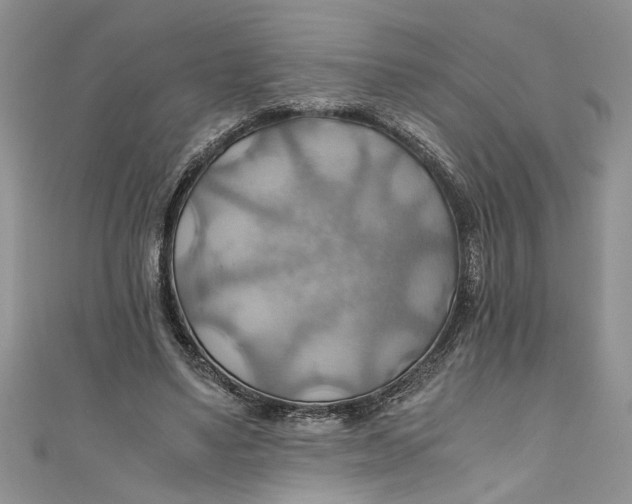 X0000111030491200907161327