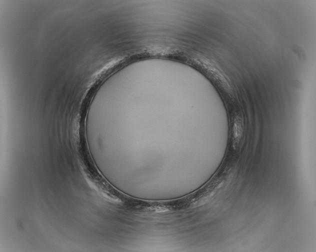 X0000111030492200907161327