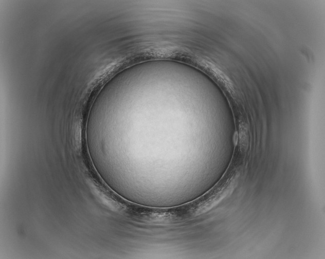 X0000111030493200907161327