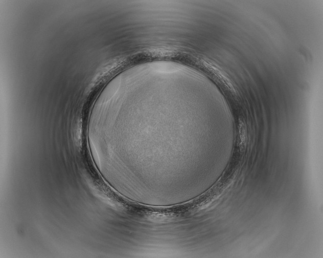 X0000111030494200907161327