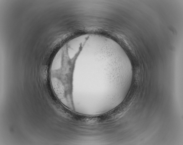 X0000111030495200907161327