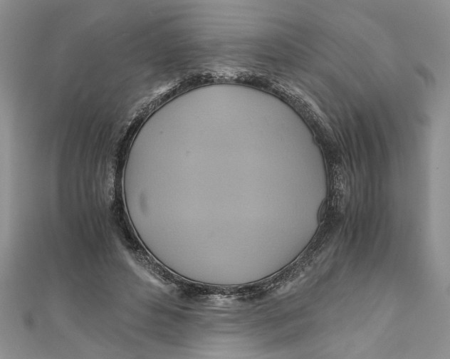 X0000111030496200907161327