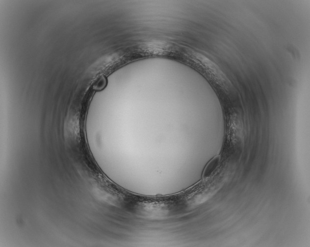 X0000111030500200907161327