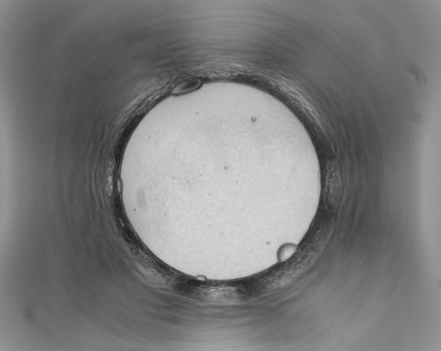 X0000111030501200907161327