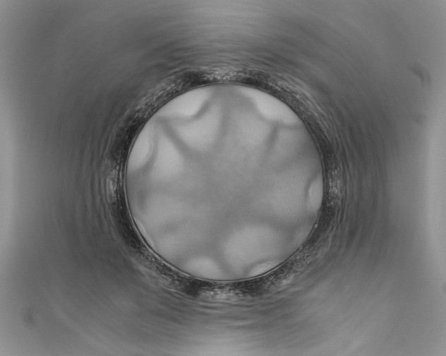 X0000111030503200907161327