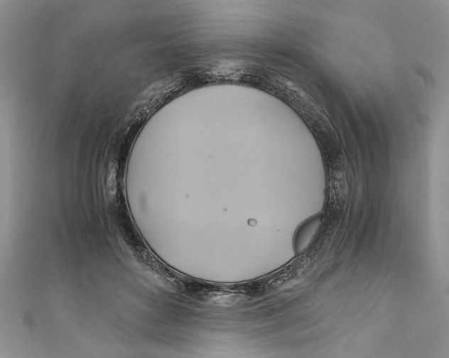 X0000111030504200907161327