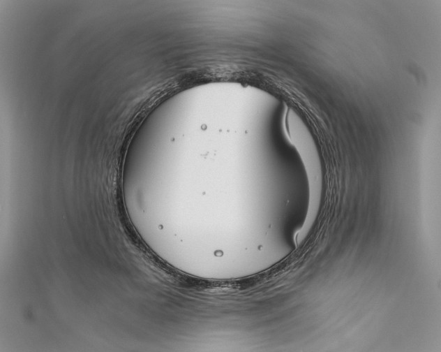 X0000111030505200907161327