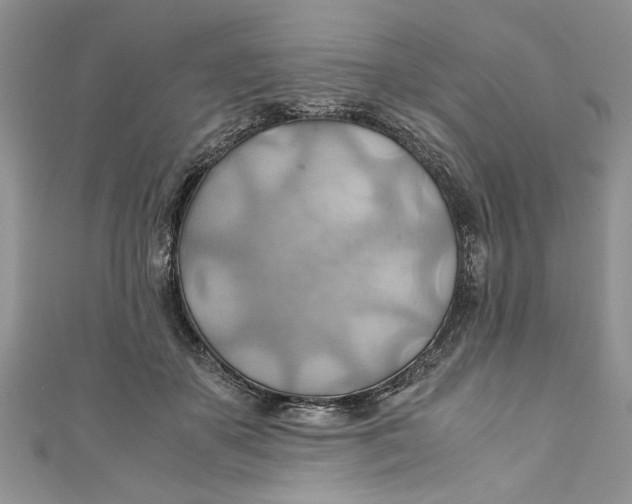 X0000111030507200907161327