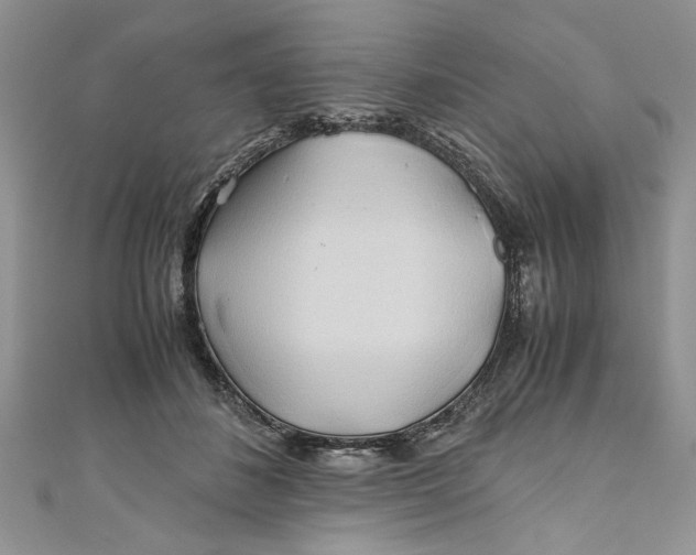 X0000111030508200907161327