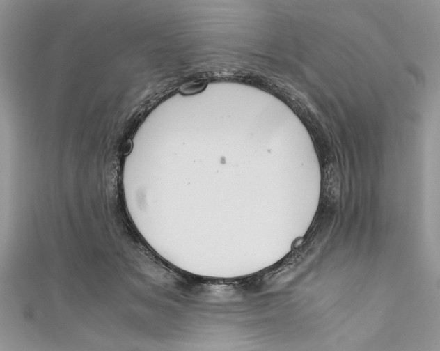 X0000111030509200907161327