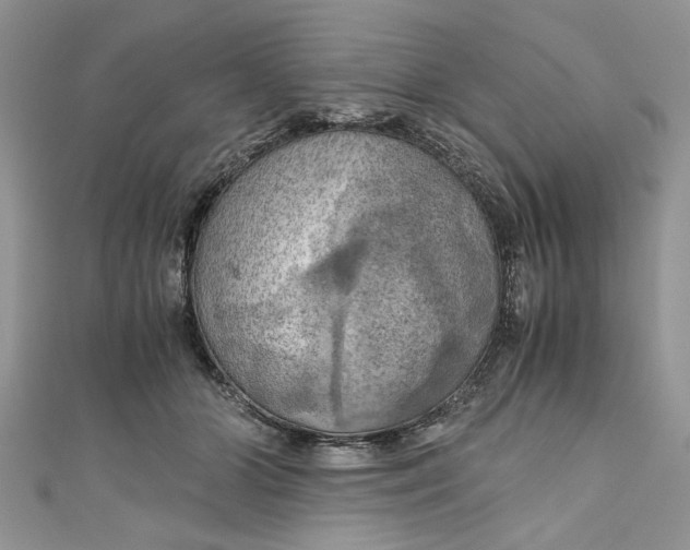 X0000111030510200907161327